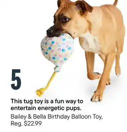 Petvalu Bailey & Bella Birthday Balloon Toy offer
