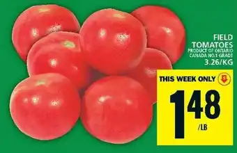 Food Basics FIELD TOMATOES offer