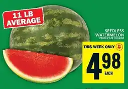 Food Basics SEEDLESS WATERMELON offer