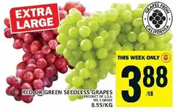 Food Basics RED OR GREEN SEEDLESS GRAPES offer