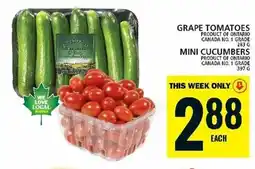 Food Basics GRAPE TOMATOES MINI CUCUMBERS offer