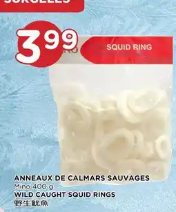 Kim Phat Mino WILD CAUGHT SQUID RINGS offer