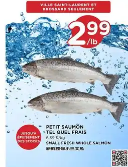 Kim Phat SMALL FRESH WHOLE SALMON offer