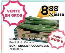 Kim Phat BOX - ENGLISH CUCUMBERS offer