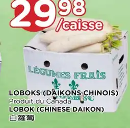 Kim Phat LOBOK (CHINESE DAIKON) offer