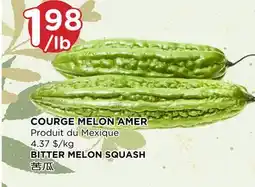 Kim Phat BITTER MELON SQUASH offer