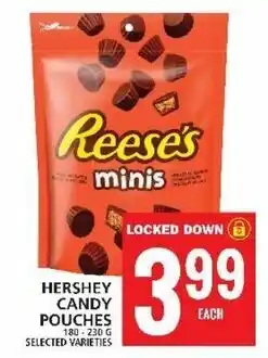 Food Basics HERSHEY CANDY POUCHES offer