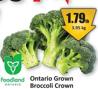 Starsky Ontario Grown Broccoli Crown offer