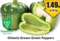 Starsky Ontario Grown Green Peppers offer