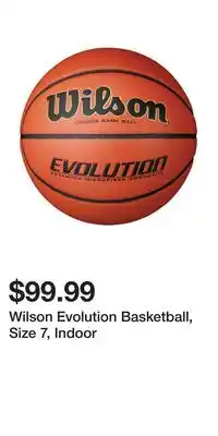 Sport Chek Wilson Evolution Basketball, Size 7, Indoor offer