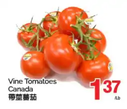 T&T Supermarket VINE TOMATOES offer
