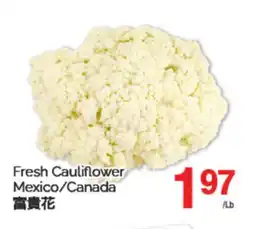 T&T Supermarket FRESH CAULIFLOWER offer
