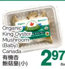 T&T Supermarket ORGANIC KING OYSTER MUSHROOM (BABY) CANADA offer
