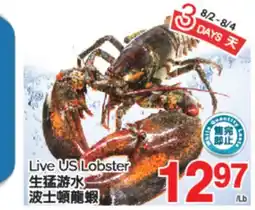 T&T Supermarket LIVE US LOBSTER offer