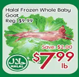 Sunny Food Mart Halal Frozen Whole Baby Goat offer