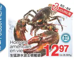 T&T Supermarket HOMARD AMERICAN EN VIE offer