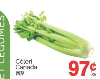 T&T Supermarket CÉLERI offer