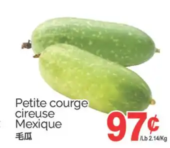 T&T Supermarket PETITE COURGE CIREUSE MEXIQUE offer