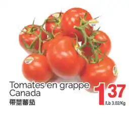T&T Supermarket TOMATES EN GRAPPE offer