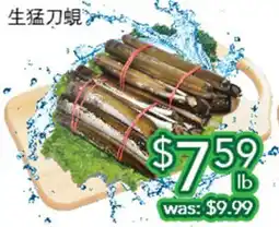 Ample Food Market Live Razor Clam offer