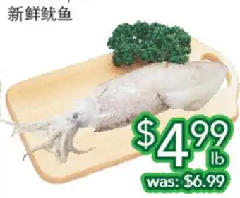 Ample Food Market Fresh Squid offer