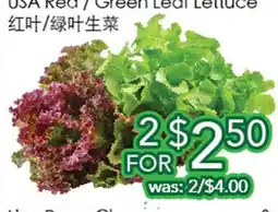Ample Food Market USA Red/ Green Leaf Lettuce offer
