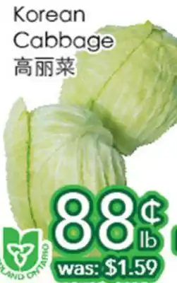 Ample Food Market Korean Cabbage offer