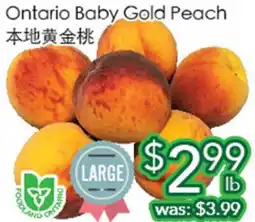 Ample Food Market Ontario Baby Gold Peach offer