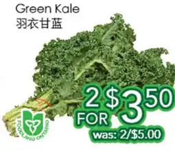Ample Food Market Green Kale offer