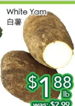 Ample Food Market White Yam offer