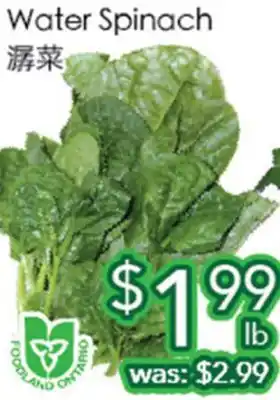 Ample Food Market Water Spinach offer