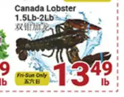Oceans Fresh Food Market Canada Lobster 1.5Lb-2Lb offer