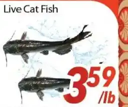 Bestco Food Mart Live Cat Fish offer
