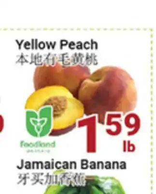 Oceans Fresh Food Market Yellow Peach offer