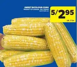 Real Canadian Superstore SWEET BICOLOUR CORN offer