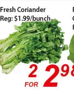 Seasons Foodmart Fresh Coriander offer
