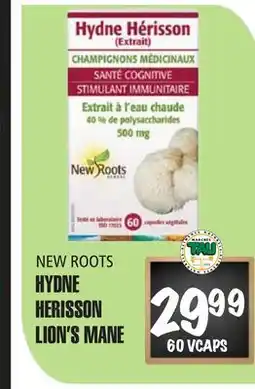 Marches Tau HYDNE HERISSON NEW ROOTS offer