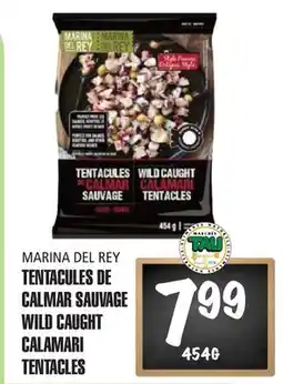 Marches Tau TENTACULES DE CALMAR SAUVAGE MARINA DEL REY offer
