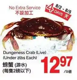 T&T Supermarket Dungeness Crab (Live) (Under 2lbs Each) offer
