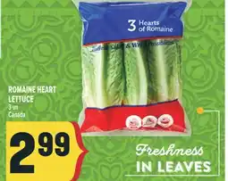 Marché Adonis ROMAINE HEART LETTUCE offer