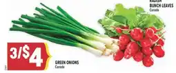 Marché Adonis GREEN ONIONS offer