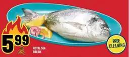 Marché Adonis ROYAL SEA BREAM offer