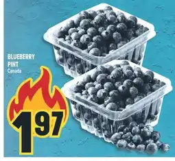 Marché Adonis BLUEBERRY PINT offer