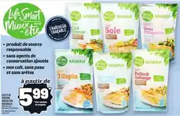 Metro FILETS DE POISSON MIEUX-ÊTRE NATURALIA | LIFE SMART NATURALIA FISH FILLETS offer