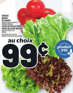 Metro TOMATES ROUGES DE CHAMPS | ROMAINE LETTUCE OR RED FIELD TOMATOES offer
