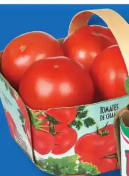 IGA FIELD RED TOMATOES offer