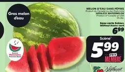IGA SEEDLESS WATERMELON offer