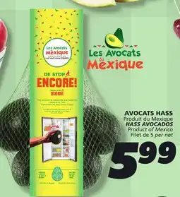 IGA HASS AVOCADOS offer