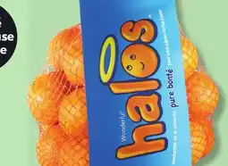 IGA HALOS MANDARINS offer