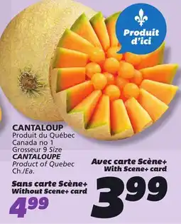IGA CANTALOUPE offer